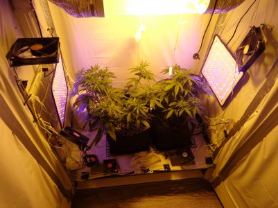 DSC00295.jpg DSC00295.jpg