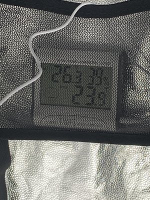 4AD33621-0098-466B-9DC5-5566453CDBAE.jpeg 4AD33621-0098-466B-9DC5-5566453CDBAE.jpeg