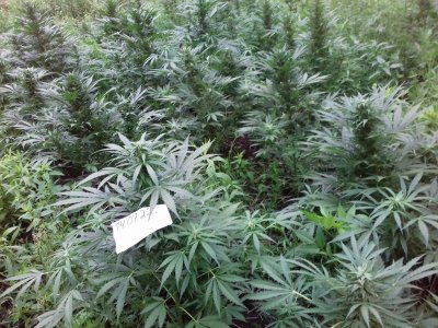 20160522_081027.jpg 20160522_081027.jpg