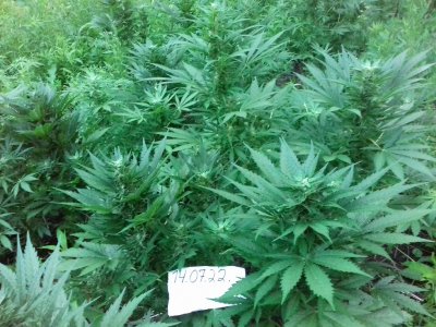 20160522_081200.jpg 20160522_081200.jpg