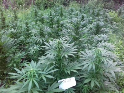 20160522_081510.jpg 20160522_081510.jpg