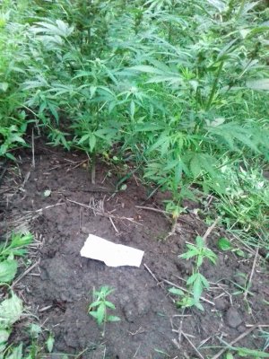 20160522_083008.jpg 20160522_083008.jpg