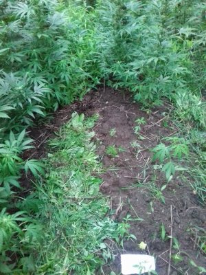 20160522_083108.jpg 20160522_083108.jpg