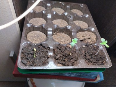 1658469960524..jpg 1658469960524..jpg