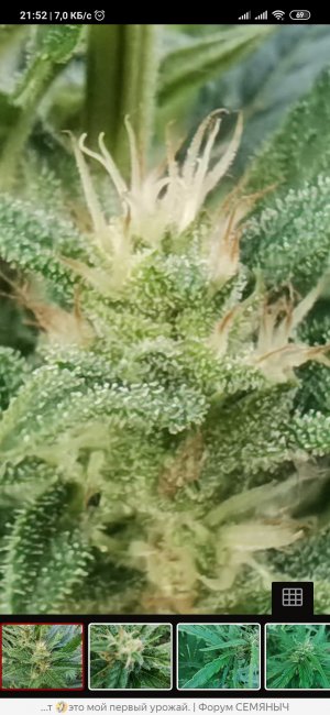 Screenshot_2022-07-23-21-52-58-257_com.yandex.browser.jpg Screenshot_2022-07-23-21-52-58-257_com.yandex.browser.jpg