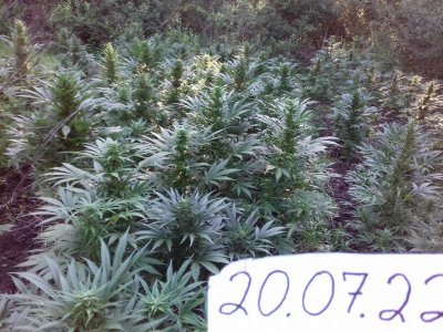 20160528_060746.jpg 20160528_060746.jpg