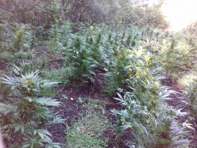 20160528_061124.jpg 20160528_061124.jpg