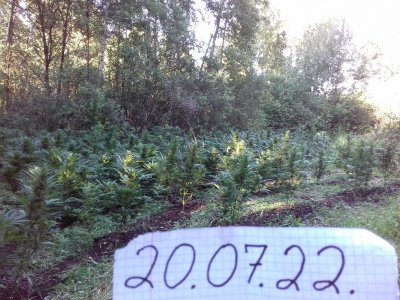 20160528_061228.jpg 20160528_061228.jpg