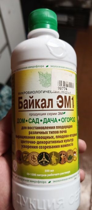 IMG_20220725_213732_378.jpg IMG_20220725_213732_378.jpg