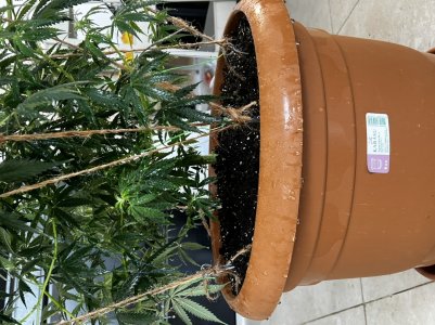 D480C3A2-3CD1-4D7B-909D-24DBC9B705AB.jpeg D480C3A2-3CD1-4D7B-909D-24DBC9B705AB.jpeg