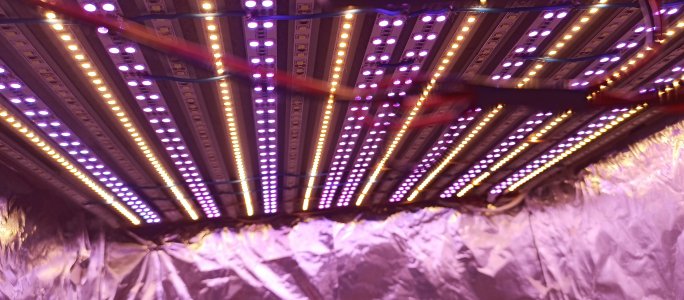 IMG_20220727_205036_355.jpg IMG_20220727_205036_355.jpg