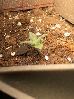 IMG_5033.jpg IMG_5033.jpg