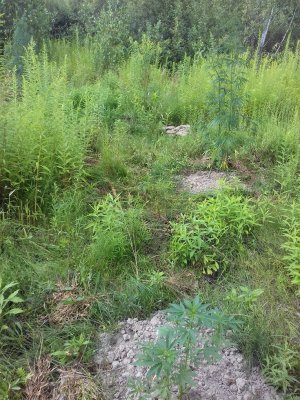 20160603_013939.jpg 20160603_013939.jpg