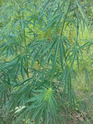 20160603_014043.jpg 20160603_014043.jpg