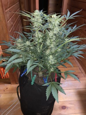 IMG_5587.jpg IMG_5587.jpg