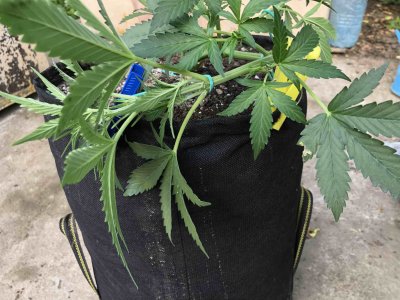 C468704F-5DEB-4EF3-A233-3EDD236D11DF.jpeg C468704F-5DEB-4EF3-A233-3EDD236D11DF.jpeg