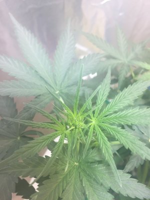 72B2A964-DD3E-42D3-A4CE-D6C934C6C001.jpeg 72B2A964-DD3E-42D3-A4CE-D6C934C6C001.jpeg