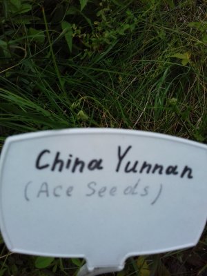 20160609_060626.jpg 20160609_060626.jpg