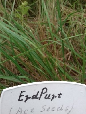 20160609_061604.jpg 20160609_061604.jpg