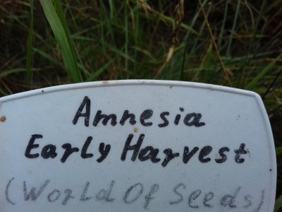 20160609_061730.jpg 20160609_061730.jpg