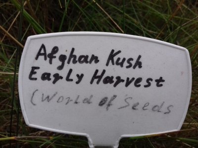 20160609_062019.jpg 20160609_062019.jpg