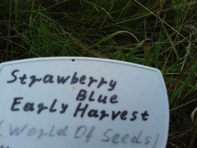 20160609_062206.jpg 20160609_062206.jpg