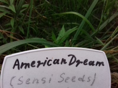 20160609_062440.jpg 20160609_062440.jpg