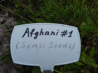 20160609_062615.jpg 20160609_062615.jpg