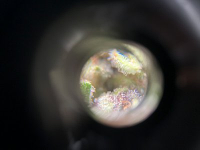 01CFB95E-4B3C-4237-9BCD-E7B600F1DB8E.jpeg 01CFB95E-4B3C-4237-9BCD-E7B600F1DB8E.jpeg