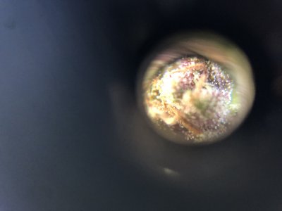 9A1E1121-9E5F-4FD0-A4CC-85DB08D27D31.jpeg 9A1E1121-9E5F-4FD0-A4CC-85DB08D27D31.jpeg