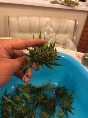 camphoto_342241519.JPG camphoto_342241519.JPG