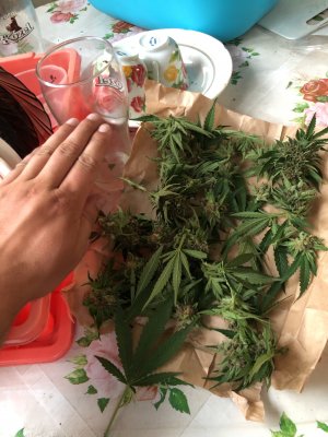 camphoto_824023566.JPG camphoto_824023566.JPG