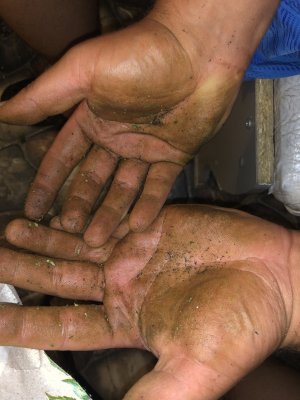 IMG_5780.jpg IMG_5780.jpg