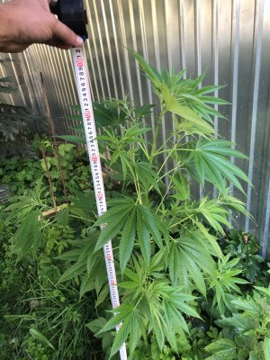 8A043270-8E7C-4EE1-B7F1-BA7CE73D8DA6.jpeg 8A043270-8E7C-4EE1-B7F1-BA7CE73D8DA6.jpeg