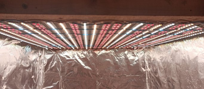 IMG_20220813_210013_130.jpg IMG_20220813_210013_130.jpg