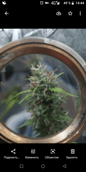 Screenshot_20220815-144453.png Screenshot_20220815-144453.png