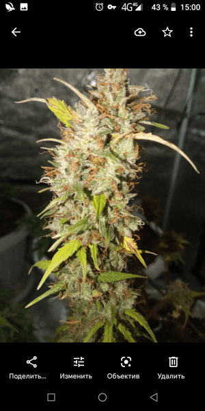 Screenshot_20220815-150033.png Screenshot_20220815-150033.png