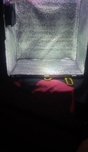 корпус гров.jpg