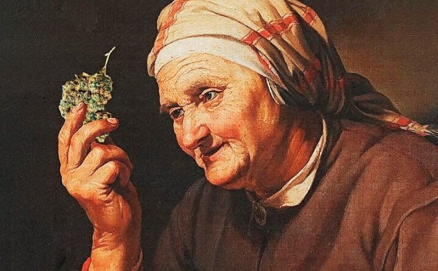 Как определить хорошую коноплю