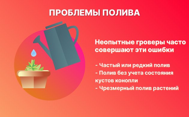 Неправильный полив Неправильный полив