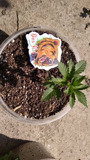 IMG_20220818_151030.jpg IMG_20220818_151030.jpg