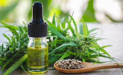 1661253772262.png 1661253772262.png