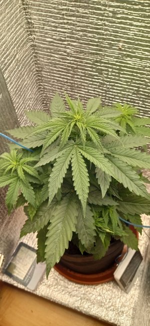 3 — копия.jpg