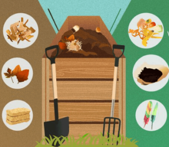 1661438963123.png 1661438963123.png