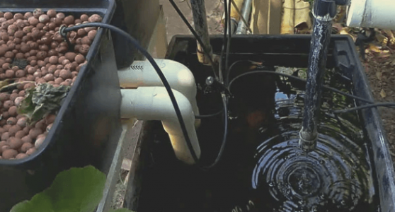 1661439059472.png 1661439059472.png