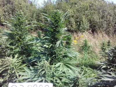 20220823_115515.jpg 20220823_115515.jpg