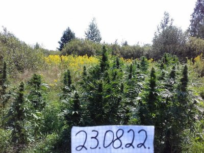 20220823_115712.jpg 20220823_115712.jpg