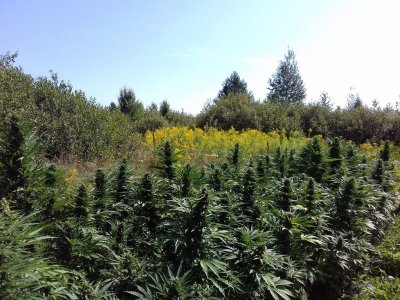 20220823_120444.jpg 20220823_120444.jpg