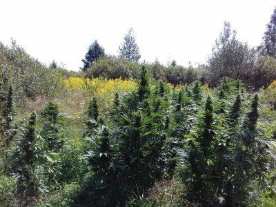 20220823_115706.jpg 20220823_115706.jpg