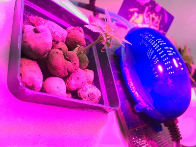 07 (17).JPG 07 (17).JPG